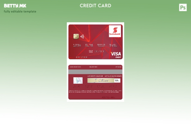 Модерен стил Шаблон за виза за дебитна картичка Свети Винсент и Гренадинската ба